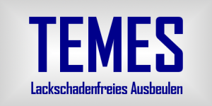 Logo_TEMES_2